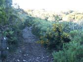 Photo MaitreFou - Auteur : BadShark974 - Mots clés :  paysage 