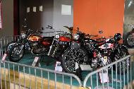 Accès à la galerie des photos du site MaitreFou